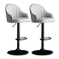 Metal Contemporary Kitchen Dining Room Arm Stool Adjustable Height Barstool Grey Black Set of 2 Clearhalo 'Bar Furniture' 'Bar Stools' 'bar_stools' 'Furniture' 'furniture_bar_stools' 'Kitchen & Dining Furniture' 4758710