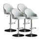 Metal Contemporary Kitchen Dining Room Arm Stool Adjustable Height Barstool Light Gray Silver Set of 4 Clearhalo 'Bar Furniture' 'Bar Stools' 'bar_stools' 'Furniture' 'furniture_bar_stools' 'Kitchen & Dining Furniture' 4758719