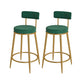 Nordic Low Back Bar Stool Round Counter Bar Stool with Metal Legs Light Green Gold 2 Piece Set Clearhalo 'Bar Furniture' 'Bar Stools' 'bar_stools' 'furn' 'furn_bar_stools' 'Furniture' 'furniture_bar_stools' 'Kitchen & Dining Furniture' 4758819