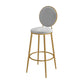Nordic Low Back Bar Stool Round Counter Bar Stool with Metal Legs Grey Gold 1 Piece Clearhalo 'Bar Furniture' 'Bar Stools' 'bar_stools' 'furn' 'furn_bar_stools' 'Furniture' 'furniture_bar_stools' 'Kitchen & Dining Furniture' 4758871
