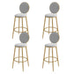 Nordic Low Back Bar Stool Round Counter Bar Stool with Metal Legs Grey Gold 4 Piece Set Clearhalo 'Bar Furniture' 'Bar Stools' 'bar_stools' 'furn' 'furn_bar_stools' 'Furniture' 'furniture_bar_stools' 'Kitchen & Dining Furniture' 4758873