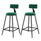 Scandinavian Low Back Footrest Barstool Matte Finish Velvet Counter Stool Green 2 Piece Set Counter Stool(26"H) Clearhalo 'Bar Furniture' 'Bar Stools' 'bar_stools' 'furn' 'furn_bar_stools' 'Furniture' 'furniture_bar_stools' 'Kitchen & Dining Furniture' 4759436
