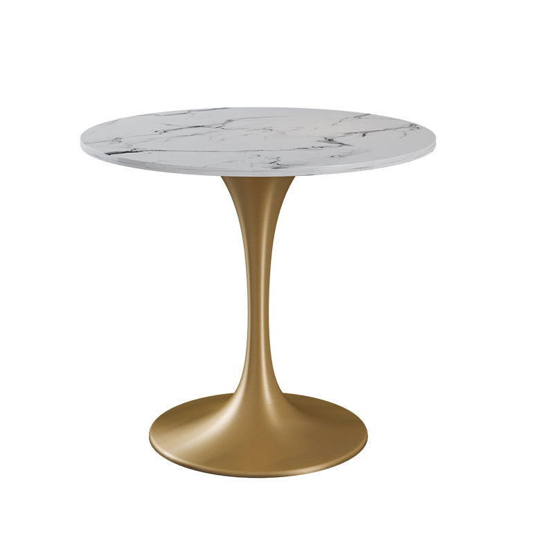 Glam 1/2/4/5 Pieces Iron Dinette Set with Sintered Stone Top Round Dining Table Set White 31"L x 31"W Clearhalo 'Dining Room Sets' 'Dining Tables & Seating' 'dining_room_set' 'furn' 'furn_dining_room_set' 'Furniture' 'furniture_dining_room_set' 'Kitchen & Dining Furniture' 4760275