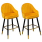 Metal Contemporary Dining Room Arm Stool Kitchen Low Back Bar Stool Orange 2 Piece Set Clearhalo 'Bar Furniture' 'Bar Stools' 'bar_stools' 'furn' 'furn_bar_stools' 'Furniture' 'furniture_bar_stools' 'Kitchen & Dining Furniture' 4769286