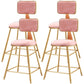 Nordic Glam Bar Stool Round Counter Bar-Stool with Metal Legs Clearhalo 'Bar Furniture' 'Bar Stools' 'bar_stools' 'furn' 'furn_bar_stools' 'Furniture' 'furniture_bar_stools' 'Kitchen & Dining Furniture' 4769414