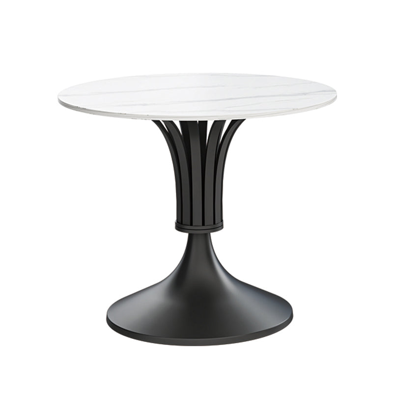 Round Luxury Style Dining Table Fixed Table with Sintered Stone Black Without Chairs Clearhalo 'Dining Tables & Seating' 'Dining Tables' 'dining_table' 'furn' 'furn_dining_table' 'Furniture' 'furniture_dining_table' 'Kitchen & Dining Furniture' 'kitchen' 'kitchen_dining_table' 4769873