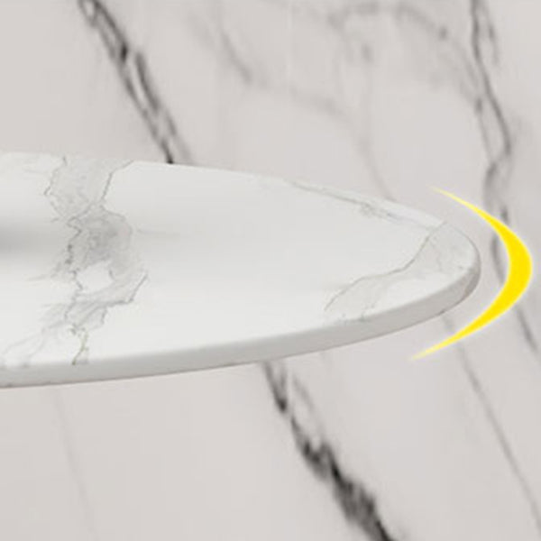 Round Luxury Style Dining Table Fixed Table with Sintered Stone Clearhalo 'Dining Tables & Seating' 'Dining Tables' 'dining_table' 'furn' 'furn_dining_table' 'Furniture' 'furniture_dining_table' 'Kitchen & Dining Furniture' 'kitchen' 'kitchen_dining_table' 4769878