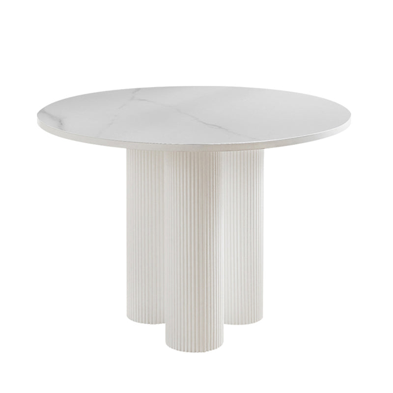 Contemporary Sintered Stone Dining Table Round Dinner Room Table with Pedestal Base Matte White Clearhalo 'Dining Tables & Seating' 'Dining Tables' 'dining_table' 'Furniture' 'furniture_dining_table' 'Kitchen & Dining Furniture' 'kitchen' 'kitchen_dining_table' 4770208