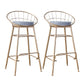Glam Metal Bar and Counter Stool Round Low Back Stool with 4 Legs Gold 2 Piece Set Bar Stool(30"H) Clearhalo 'Bar Furniture' 'Bar Stools' 'bar_stools' 'furn' 'furn_bar_stools' 'Furniture' 'furniture_bar_stools' 'Kitchen & Dining Furniture' 4780236