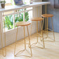 Contemporary Bar and Counter Stool Backless Stool with Metal Base Clearhalo 'Bar Furniture' 'Bar Stools' 'bar_stools' 'furn' 'furn_bar_stools' 'Furniture' 'furniture_bar_stools' 'Kitchen & Dining Furniture' 4780448