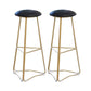 Contemporary Bar and Counter Stool Backless Stool with Metal Base Black 2 Piece Set Clearhalo 'Bar Furniture' 'Bar Stools' 'bar_stools' 'furn' 'furn_bar_stools' 'Furniture' 'furniture_bar_stools' 'Kitchen & Dining Furniture' 4780449