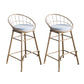 Nordic Style Bucket Counter Stools for Home Upholstered Bar Stools Gold 2 Piece Set Counter Stool(26"H) Clearhalo 'Bar Furniture' 'Bar Stools' 'bar_stools' 'furn' 'furn_bar_stools' 'Furniture' 'furniture_bar_stools' 'Kitchen & Dining Furniture' 4780551