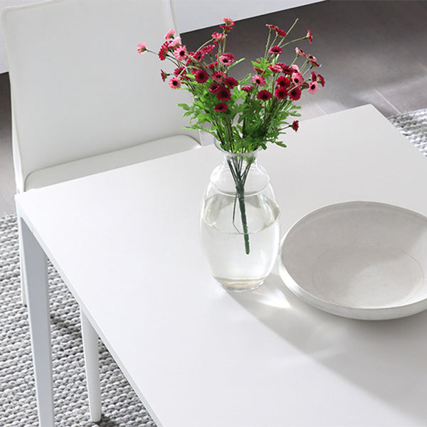 Designer Style 1/4/5/7 Pieces Rectangle Dining Set Sintered Stone Dining Table with Chairs Clearhalo 'Dining Room Sets' 'Dining Tables & Seating' 'dining_room_set' 'furn' 'furn_dining_room_set' 'Furniture' 'furniture_dining_room_set' 'Kitchen & Dining Furniture' 4780608