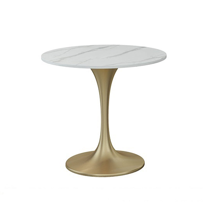 Round Luxury Dining Table White Fixed Table with Sintered Stone Tulip 27.6"L x 27.6"W x 29.5"H Without Chairs Clearhalo 'Dining Tables & Seating' 'Dining Tables' 'dining_table' 'furn' 'furn_dining_table' 'Furniture' 'furniture_dining_table' 'Kitchen & Dining Furniture' 'kitchen' 'kitchen_dining_table' 4780986