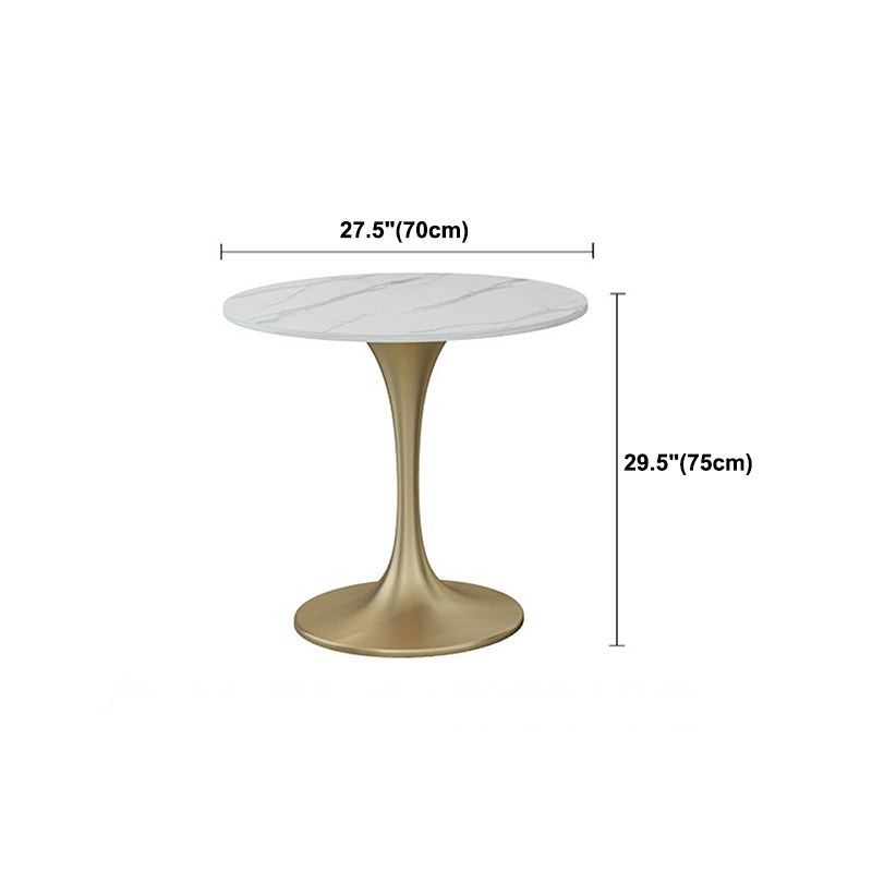 Round Luxury Dining Table White Fixed Table with Sintered Stone Clearhalo 'Dining Tables & Seating' 'Dining Tables' 'dining_table' 'furn' 'furn_dining_table' 'Furniture' 'furniture_dining_table' 'Kitchen & Dining Furniture' 'kitchen' 'kitchen_dining_table' 4780996