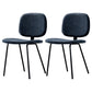 Contemporary Modern Metal Indoor-Outdoor Chair Open Back Side Chair Navy Blue 2 Piece Set Clearhalo 'Dining Chairs' 'Dining Tables & Seating' 'dining_chair' 'furn' 'furn_dining_chair' 'Furniture' 'furniture_dining_chair' 'Kitchen & Dining Furniture' 4781416
