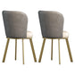 Metal Scandinavian Kitchen Dining Side Chair Solid Back Dining Chair Grey 2 Piece Set Brass Gold Clearhalo 'Dining Chairs' 'Dining Tables & Seating' 'dining_chair' 'furn' 'furn_dining_chair' 'Furniture' 'furniture_dining_chair' 'Kitchen & Dining Furniture' 4781795