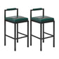Contemporary Footrest Upholstered Home Stool Matte Finish Low Back Barstool Green 2 Piece Set Short Stool(22"H) Clearhalo 'Bar Furniture' 'Bar Stools' 'bar_stools' 'furn' 'furn_bar_stools' 'Furniture' 'furniture_bar_stools' 'Kitchen & Dining Furniture' 4790798