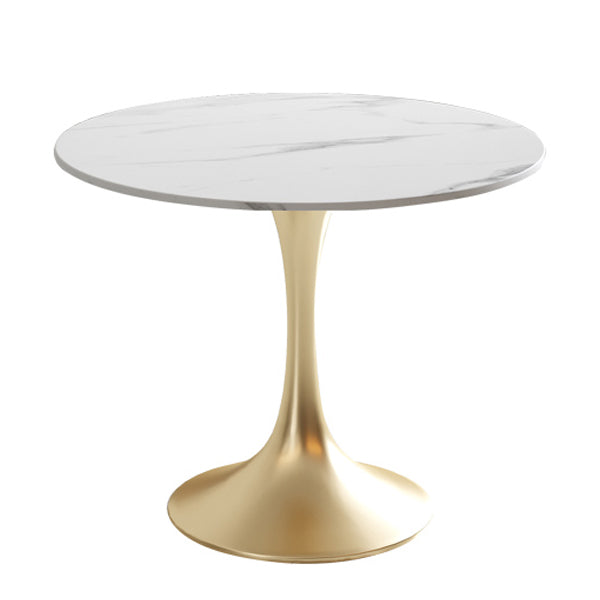 Round Sintered Stone Dining Table Traditional Luxury Tulip Table Gold 31.5"L x 31.5"W x 29.5"H Without Chairs Clearhalo 'Dining Tables & Seating' 'Dining Tables' 'dining_table' 'furn' 'furn_dining_table' 'Furniture' 'furniture_dining_table' 'Kitchen & Dining Furniture' 'kitchen' 'kitchen_dining_table' 4791756