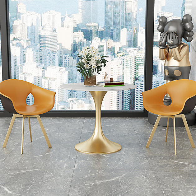 Round Sintered Stone Dining Table Traditional Luxury Tulip Table Clearhalo 'Dining Tables & Seating' 'Dining Tables' 'dining_table' 'furn' 'furn_dining_table' 'Furniture' 'furniture_dining_table' 'Kitchen & Dining Furniture' 'kitchen' 'kitchen_dining_table' 4791763
