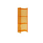 Glam Acrylic Vertical Standard Bookshelf Closed Back Bookshelf for Living Room 15.7"L x 9.8"W x 46.5"H Orange Clearhalo 'Bookcases' 'furn' 'furn_bookcases' 'Furniture' 'furniture_bookcases' 'kitchen' 'kitchen_bookcases' 'Living Room Furniture' 'Office Furniture' 4803803