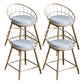 Scandinavian Design Bucket Counter Stool for Home Upholstered Bar Stools with Metal Base Gold 4 Piece Set Short Stool(18"H) Clearhalo 'Bar Furniture' 'Bar Stools' 'bar_stools' 'furn' 'furn_bar_stools' 'Furniture' 'furniture_bar_stools' 'Kitchen & Dining Furniture' 4807372