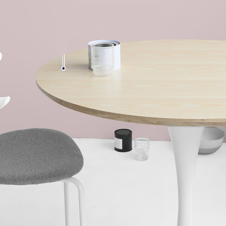 Modern Style Round Table Wooden Dining Table with Pedestal Base for Kitchen Clearhalo 'Bar Furniture' 'Bar Tables' 'bar_tables' 'Dining Tables & Seating' 'Dining Tables' 'dining_table' 'furn' 'furn_bar_tables' 'Furniture' 'furniture_dining_table' 'Kitchen & Dining Furniture' 'kitchen' 'kitchen_dining_table' 4808485