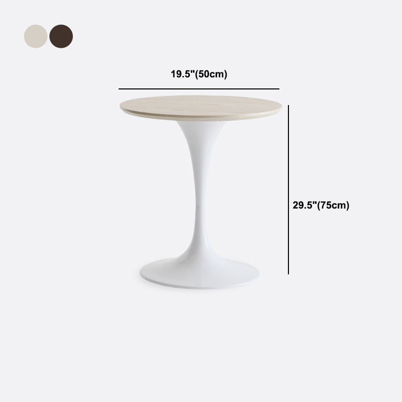 Modern Style Round Table Wooden Dining Table with Pedestal Base for Kitchen Clearhalo 'Bar Furniture' 'Bar Tables' 'bar_tables' 'Dining Tables & Seating' 'Dining Tables' 'dining_table' 'furn' 'furn_bar_tables' 'Furniture' 'furniture_dining_table' 'Kitchen & Dining Furniture' 'kitchen' 'kitchen_dining_table' 4808493