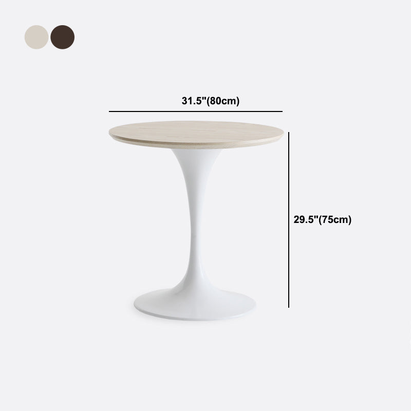 Modern Style Round Table Wooden Dining Table with Pedestal Base for Kitchen Clearhalo 'Bar Furniture' 'Bar Tables' 'bar_tables' 'Dining Tables & Seating' 'Dining Tables' 'dining_table' 'furn' 'furn_bar_tables' 'Furniture' 'furniture_dining_table' 'Kitchen & Dining Furniture' 'kitchen' 'kitchen_dining_table' 4808496