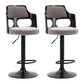 Modern Adjustable Swivel Barstool Matte Finish Footrest Stool Light Gray 2 Piece Set Clearhalo 'Bar Furniture' 'Bar Stools' 'bar_stools' 'furn' 'furn_bar_stools' 'Furniture' 'furniture_bar_stools' 'Kitchen & Dining Furniture' 4817126
