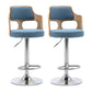 Modern Adjustable Swivel Barstool Matte Finish Footrest Stool Blue 2 Piece Set Clearhalo 'Bar Furniture' 'Bar Stools' 'bar_stools' 'furn' 'furn_bar_stools' 'Furniture' 'furniture_bar_stools' 'Kitchen & Dining Furniture' 4817131