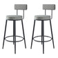Modern Armless Backrest Counter Stool Iron Cashier Bar Stool with Velvet Cushion and Pedal Grey 2 Piece Set Clearhalo 'Bar Furniture' 'Bar Stools' 'bar_stools' 'furn' 'furn_bar_stools' 'Furniture' 'furniture_bar_stools' 'Kitchen & Dining Furniture' 4817464