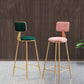 Glam Backrest Armless Counter Stool Iron Bar Stool with Pedal and Velvet Cushion Clearhalo 'Bar Furniture' 'Bar Stools' 'bar_stools' 'furn' 'furn_bar_stools' 'Furniture' 'furniture_bar_stools' 'Kitchen & Dining Furniture' 4817614