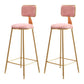Glam Backrest Armless Counter Stool Iron Bar Stool with Pedal and Velvet Cushion Pink 2 Piece Set Clearhalo 'Bar Furniture' 'Bar Stools' 'bar_stools' 'furn' 'furn_bar_stools' 'Furniture' 'furniture_bar_stools' 'Kitchen & Dining Furniture' 4817626