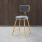 Glam Backrest Armless Counter Stool Iron Bar Stool with Pedal and Velvet Cushion Gray 1 Piece Short Stool(18"H) Clearhalo 'Bar Furniture' 'Bar Stools' 'bar_stools' 'furn' 'furn_bar_stools' 'Furniture' 'furniture_bar_stools' 'Kitchen & Dining Furniture' 4817628