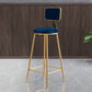 Glam Backrest Armless Counter Stool Iron Bar Stool with Pedal and Velvet Cushion Blue 1 Piece Clearhalo 'Bar Furniture' 'Bar Stools' 'bar_stools' 'furn' 'furn_bar_stools' 'Furniture' 'furniture_bar_stools' 'Kitchen & Dining Furniture' 4817631