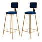 Glam Backrest Armless Counter Stool Iron Bar Stool with Pedal and Velvet Cushion Blue 2 Piece Set Clearhalo 'Bar Furniture' 'Bar Stools' 'bar_stools' 'furn' 'furn_bar_stools' 'Furniture' 'furniture_bar_stools' 'Kitchen & Dining Furniture' 4817632