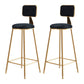 Glam Backrest Armless Counter Stool Iron Bar Stool with Pedal and Velvet Cushion Black 2 Piece Set Clearhalo 'Bar Furniture' 'Bar Stools' 'bar_stools' 'furn' 'furn_bar_stools' 'Furniture' 'furniture_bar_stools' 'Kitchen & Dining Furniture' 4817635