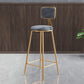 Glam Backrest Armless Counter Stool Iron Bar Stool with Pedal and Velvet Cushion Gray 1 Piece Clearhalo 'Bar Furniture' 'Bar Stools' 'bar_stools' 'furn' 'furn_bar_stools' 'Furniture' 'furniture_bar_stools' 'Kitchen & Dining Furniture' 4817637