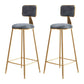 Glam Backrest Armless Counter Stool Iron Bar Stool with Pedal and Velvet Cushion Gray 2 Piece Set Clearhalo 'Bar Furniture' 'Bar Stools' 'bar_stools' 'furn' 'furn_bar_stools' 'Furniture' 'furniture_bar_stools' 'Kitchen & Dining Furniture' 4817638