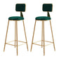 Glam Backrest Armless Counter Stool Iron Bar Stool with Pedal and Velvet Cushion Green 2 Piece Set Clearhalo 'Bar Furniture' 'Bar Stools' 'bar_stools' 'furn' 'furn_bar_stools' 'Furniture' 'furniture_bar_stools' 'Kitchen & Dining Furniture' 4817641