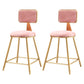 Glam Backrest Armless Counter Stool Iron Bar Stool with Pedal and Velvet Cushion Pink 2 Piece Set Short Stool(18"H) Clearhalo 'Bar Furniture' 'Bar Stools' 'bar_stools' 'furn' 'furn_bar_stools' 'Furniture' 'furniture_bar_stools' 'Kitchen & Dining Furniture' 4817650