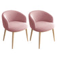 Modern Style Iron Side Chair Parsons Dining Chair with Natural Legs Pink 2 Piece Set Clearhalo 'Dining Chairs' 'Dining Tables & Seating' 'dining_chair' 'furn' 'furn_dining_chair' 'Furniture' 'furniture_dining_chair' 'Kitchen & Dining Furniture' 4818701