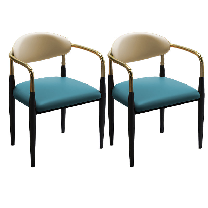 Glam Metal Dining Room Chairs Open Back Dining Side Chair in Black Green 2 Piece Set Clearhalo 'Dining Chairs' 'Dining Tables & Seating' 'dining_chair' 'furn' 'furn_dining_chair' 'Furniture' 'furniture_dining_chair' 'Kitchen & Dining Furniture' 4819179