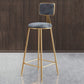 Glam Armless Backrest Counter Stool Iron Cafe Bar Stool with Velvet Cushion and Pedal Gray 1 Piece Clearhalo 'Bar Furniture' 'Bar Stools' 'bar_stools' 'furn' 'furn_bar_stools' 'Furniture' 'furniture_bar_stools' 'Kitchen & Dining Furniture' 4829561