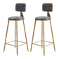Glam Armless Backrest Counter Stool Iron Cafe Bar Stool with Velvet Cushion and Pedal Gray 2 Piece Set Clearhalo 'Bar Furniture' 'Bar Stools' 'bar_stools' 'furn' 'furn_bar_stools' 'Furniture' 'furniture_bar_stools' 'Kitchen & Dining Furniture' 4829563