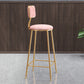 Glam Armless Backrest Counter Stool Iron Cafe Bar Stool with Velvet Cushion and Pedal Clearhalo 'Bar Furniture' 'Bar Stools' 'bar_stools' 'furn' 'furn_bar_stools' 'Furniture' 'furniture_bar_stools' 'Kitchen & Dining Furniture' 4829566