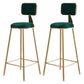 Glam Armless Backrest Counter Stool Iron Cafe Bar Stool with Velvet Cushion and Pedal Green 2 Piece Set Clearhalo 'Bar Furniture' 'Bar Stools' 'bar_stools' 'furn' 'furn_bar_stools' 'Furniture' 'furniture_bar_stools' 'Kitchen & Dining Furniture' 4829575