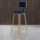 Glam Armless Backrest Counter Stool Iron Cafe Bar Stool with Velvet Cushion and Pedal Blue 1 Piece Clearhalo 'Bar Furniture' 'Bar Stools' 'bar_stools' 'furn' 'furn_bar_stools' 'Furniture' 'furniture_bar_stools' 'Kitchen & Dining Furniture' 4829577
