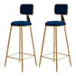 Glam Armless Backrest Counter Stool Iron Cafe Bar Stool with Velvet Cushion and Pedal Blue 2 Piece Set Clearhalo 'Bar Furniture' 'Bar Stools' 'bar_stools' 'furn' 'furn_bar_stools' 'Furniture' 'furniture_bar_stools' 'Kitchen & Dining Furniture' 4829578